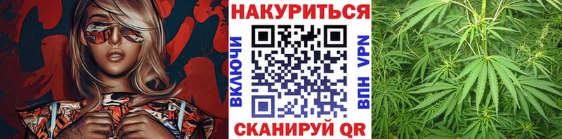 A PVP Алагир
