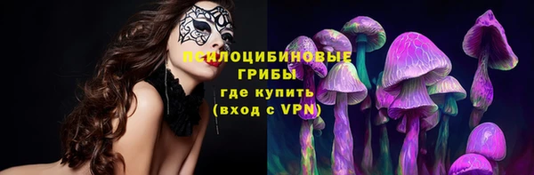 прущая мука Алзамай
