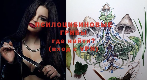 прущая мука Алзамай