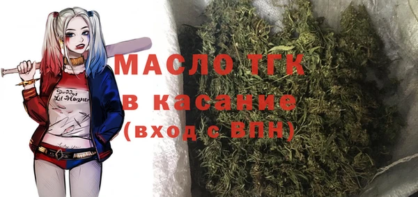мет Алексин