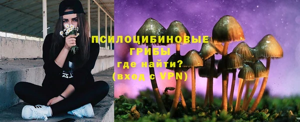 мет Алексин